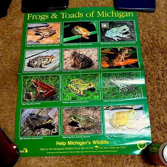 Frogs & Toads of Michigan Poster - Picture 1 of 3